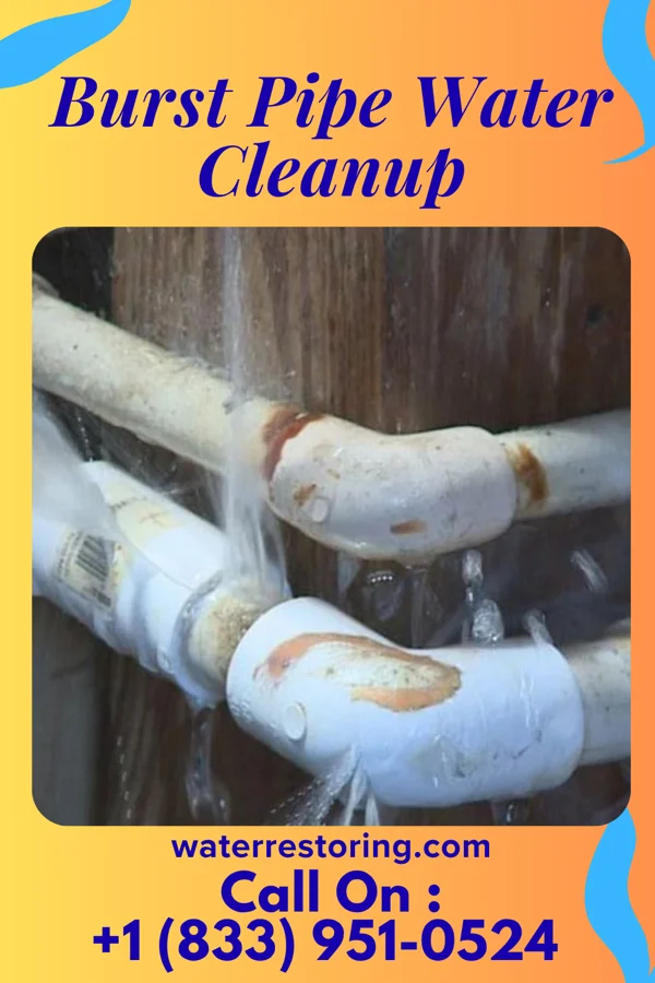 Burst Pipe Water Cleanup in Sullivan, IL